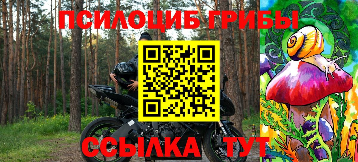 Галлюциногенные грибы Psilocybine cubensis  Вход с VPN  Фролово  Галлюциногенные грибы Magic Shrooms 